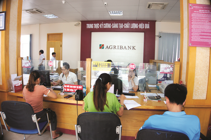 Ngân hàng Agribank Vĩnh Phúc thông tin liên hệ địa chỉ số điện thoại tổng đài